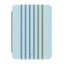 Mint Stripe Kindle Case